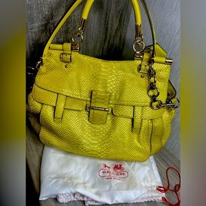 Abby Pinnacle Python Leather Crossbody Satchel Shoulder Bag Purse